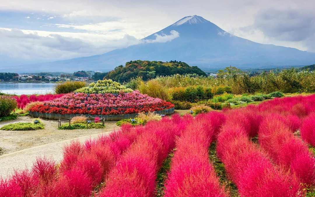 Mount Fuji Highlights Tour: Chureito Pagoda, Lake Kawaguchi, Oshino Hakkai, & More Image 5
