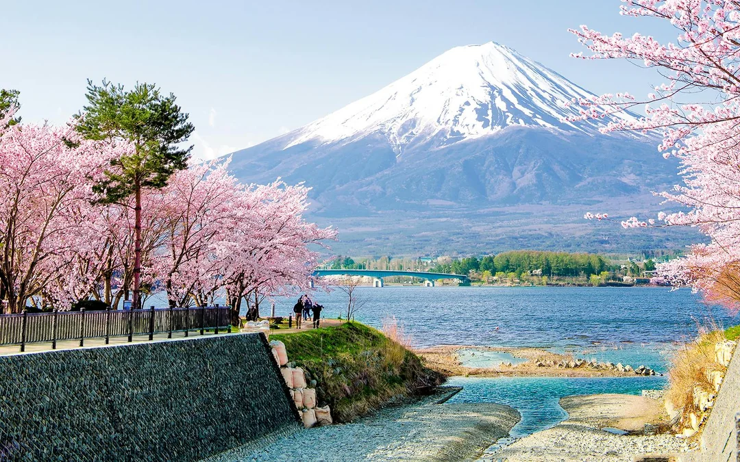 Mount Fuji Private Tour: Explore Top Spots at Your Pace (10 Hours) Image 2