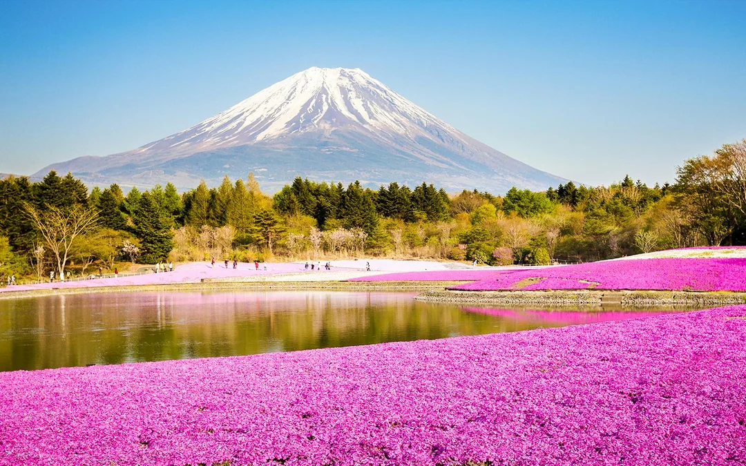Mount Fuji Private Tour: Explore Top Spots at Your Pace (10 Hours) Image 3