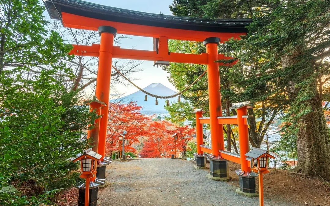 Mount Fuji Private Tour: Explore Top Spots at Your Pace (10 Hours) Image 9