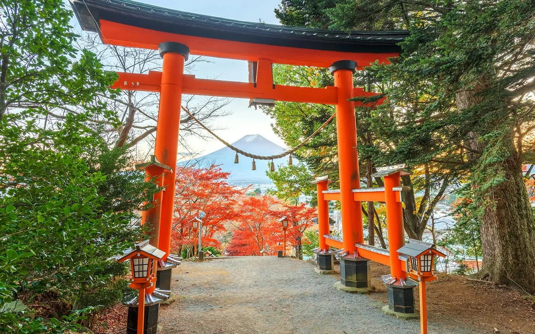 Mount Fuji Private Tour: Explore Top Spots at Your Pace (10 Hours) Image 9
