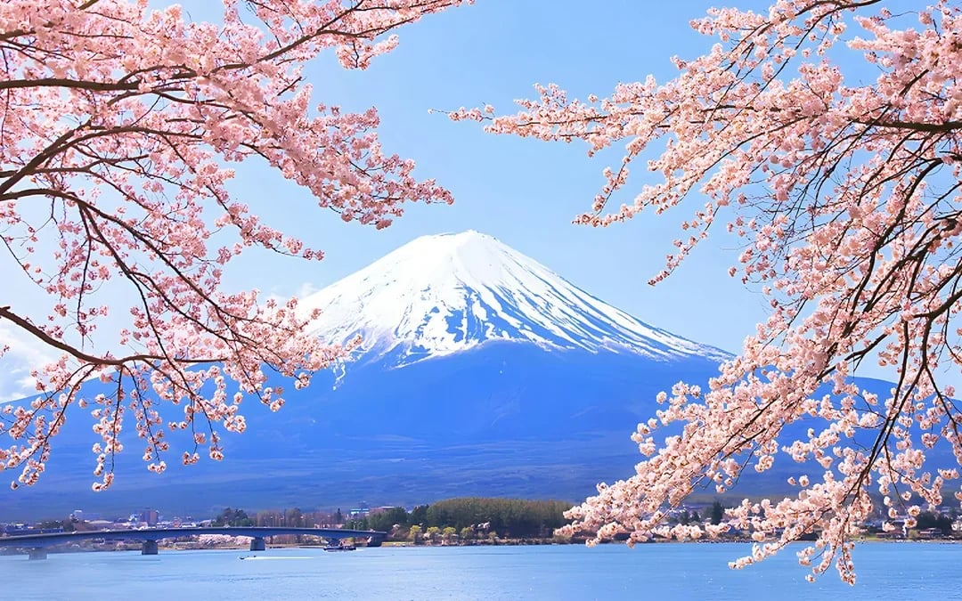 Mount Fuji Tour with Hakone Ropeway, Lake Ashi, Hakone Shrine, & More Image 12