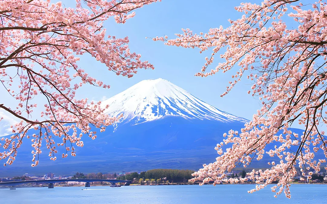 Mount Fuji Tour with Hakone Ropeway, Lake Ashi, Hakone Shrine, & More Image 12