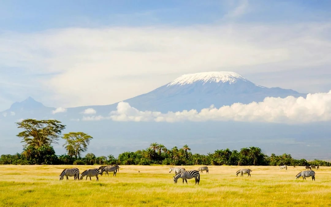 Mount Kilimanjaro Marangu Route 6-Day Trek Image 2