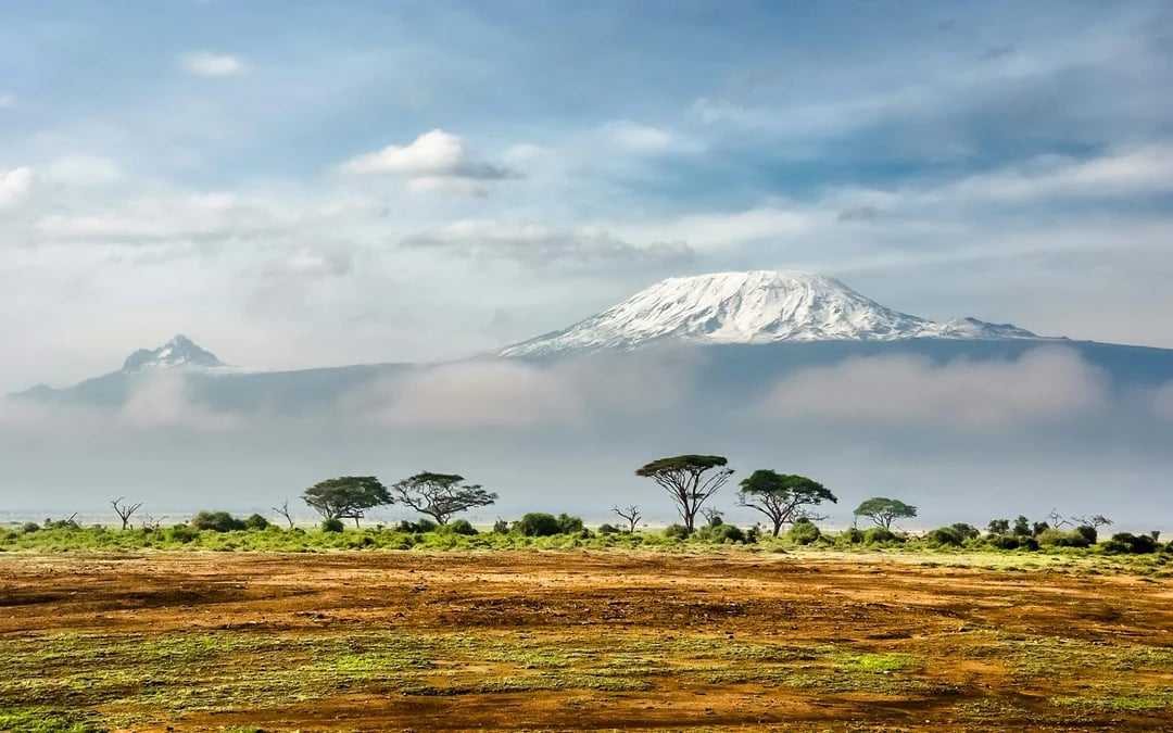 Mount Kilimanjaro Marangu Route 6-Day Trek Image 5
