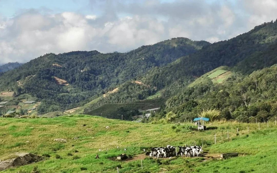 Mount Kinabulu and Kundasang Multi-Day Tour with Transfers Image 2
