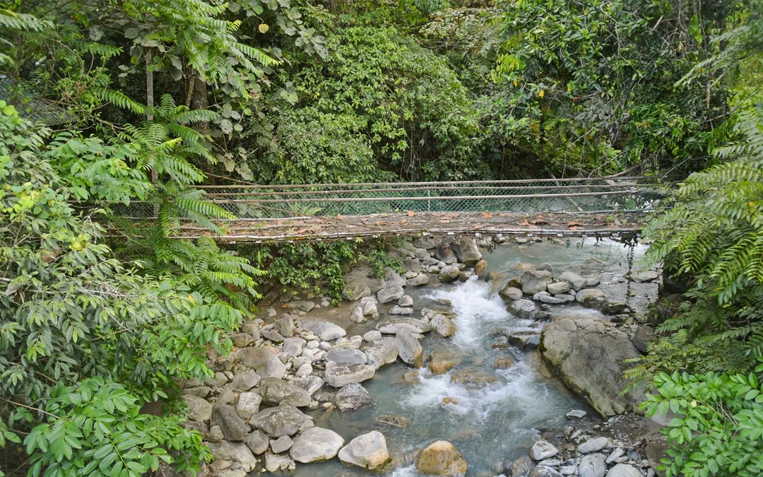 Mount Kinabulu and Kundasang Multi-Day Tour with Transfers Image 5