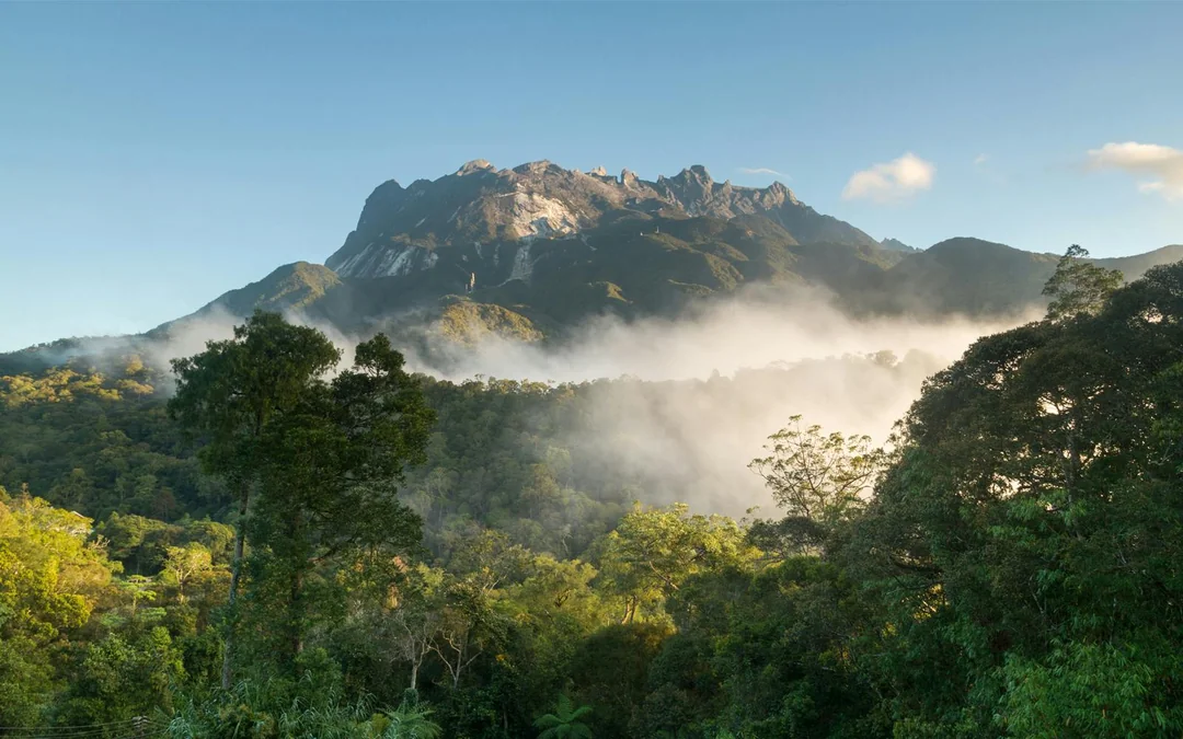 Mount Kinabulu and Kundasang Multi-Day Tour with Transfers Image 7