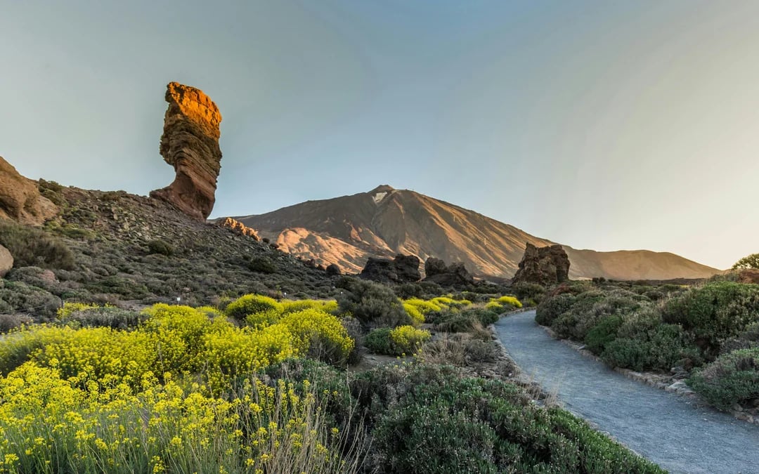 Mount Teide Guided Tour with Transfers Image 2