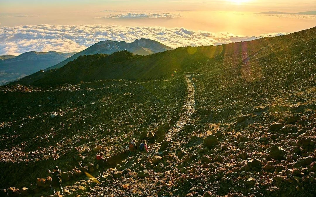Mount Teide Stargazing Tour with Transfers & Cable Car Tickets Image 9