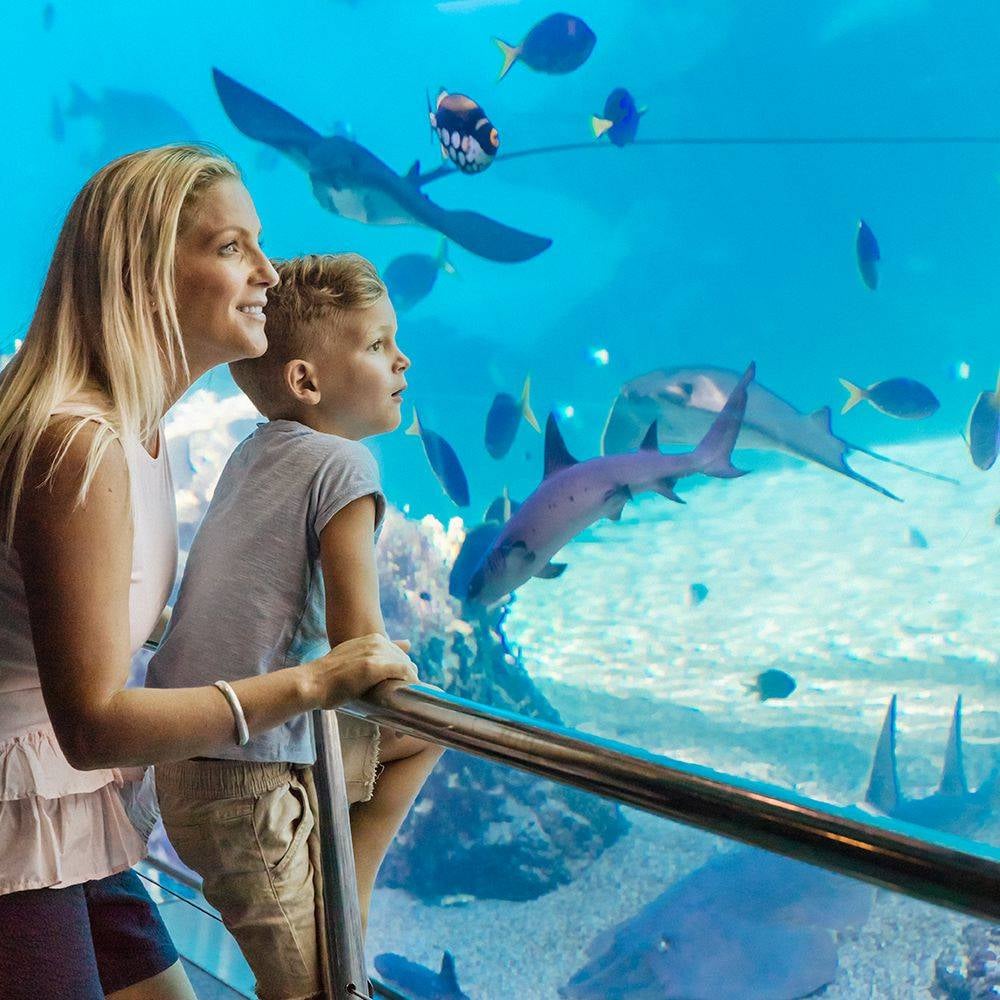 Movie World, Sea World, Wet'n'Wild, Paradise Country Gold Coast Multi-Day Pass