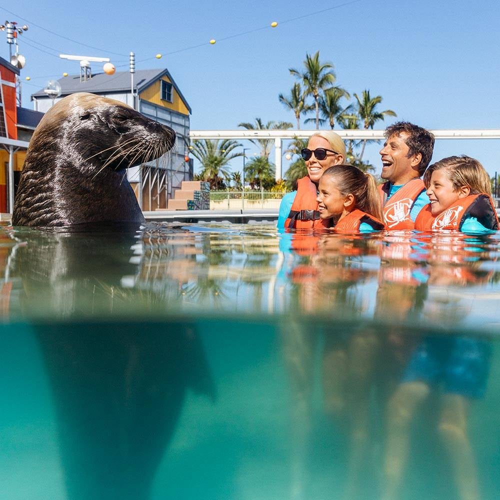 Movie World, Sea World, Wet'n'Wild, Paradise Country Gold Coast Multi-Day Pass