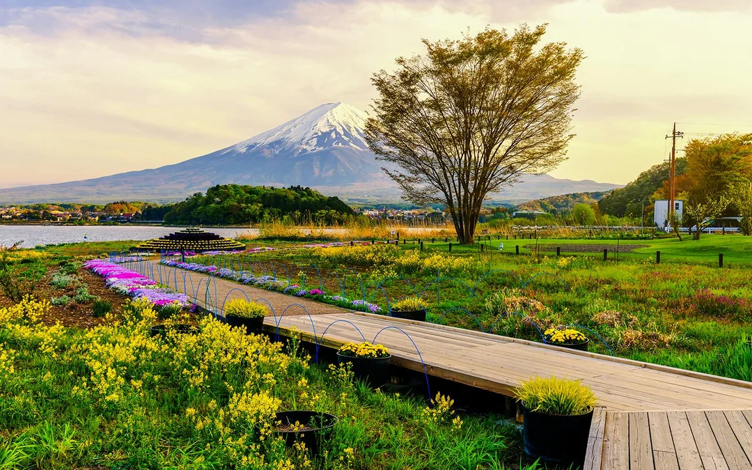 Mt. Fuji Instagrammable Tour: Chureito Pagoda, Oishi Park, Hikawa Clock Shop, Lawson Store, & More Image 3