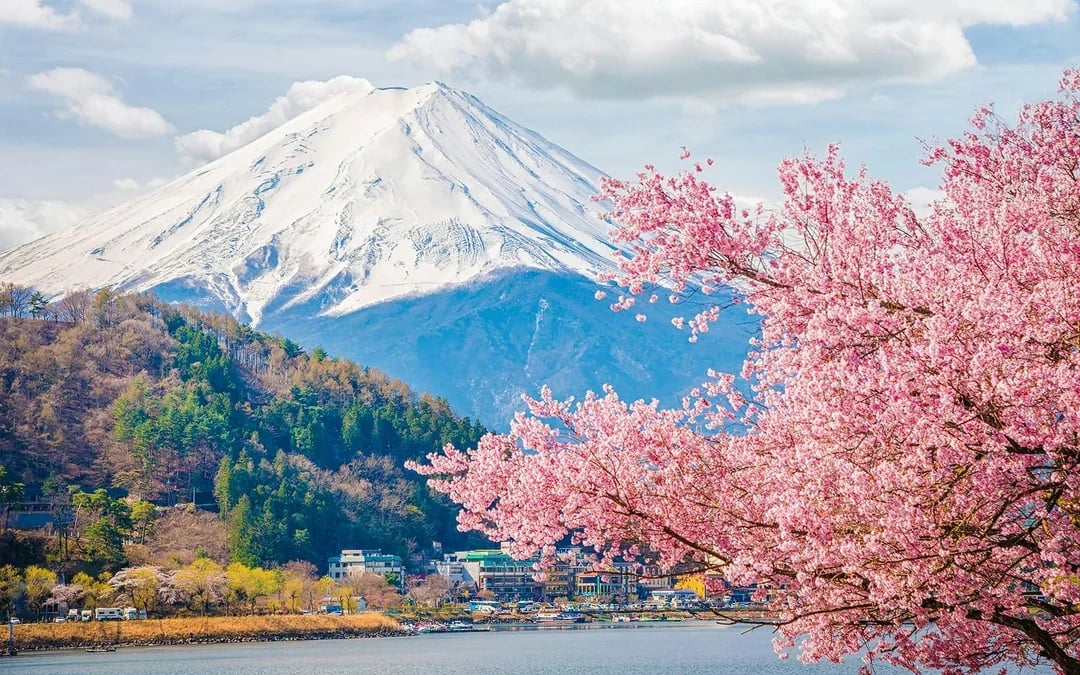 Mt. Fuji Instagrammable Tour: Chureito Pagoda, Oishi Park, Hikawa Clock Shop, Lawson Store, & More Image 10