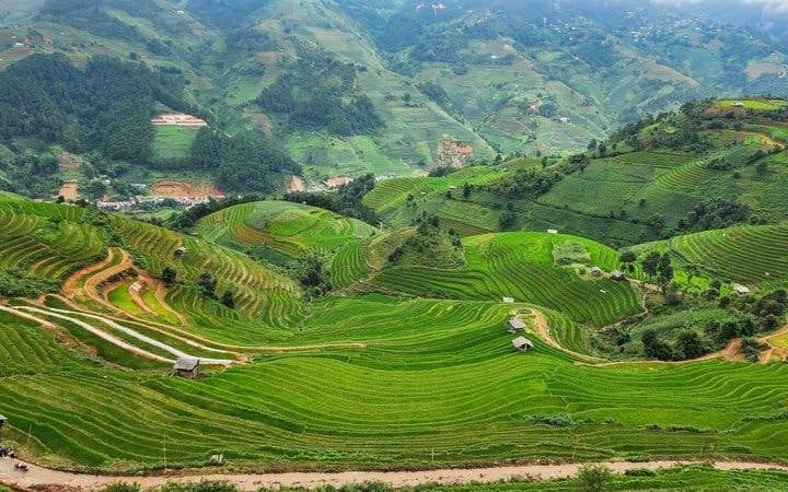 Mu Cang Chai Private Scenic Car Tour with Local Hmong Guide and Traditional Beeswax Painting Experience Image 7