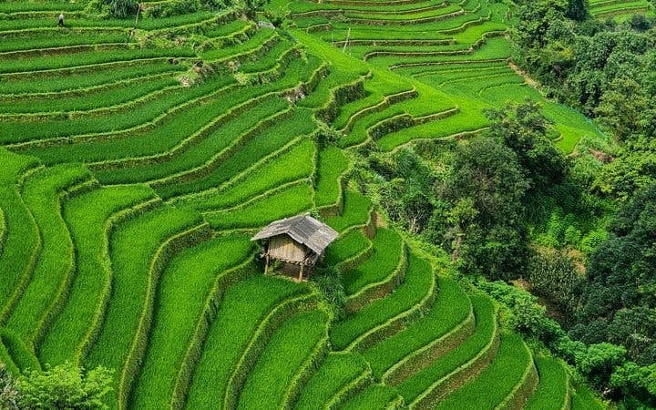 Mu Cang Chai Private Scenic Car Tour with Local Hmong Guide and Traditional Beeswax Painting Experience Image 10