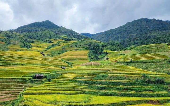 Mu Cang Chai Trekking Tour of Ethnic Villages and Landscapes with Lunch Image 2