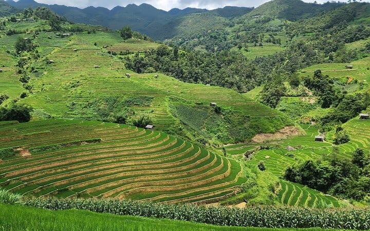 Mu Cang Chai Trekking Tour of Ethnic Villages and Landscapes with Lunch Image 3