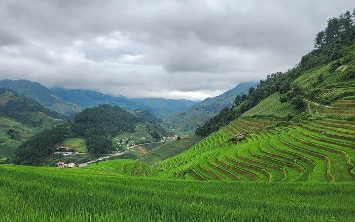 Mu Cang Chai Trekking Tour of Ethnic Villages and Landscapes with Lunch Image 6