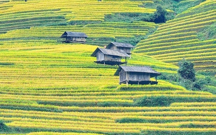 Mu Cang Chai Trekking Tour of Ethnic Villages and Landscapes with Lunch Image 7