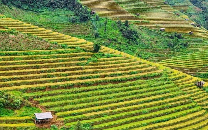 Mu Cang Chai Trekking Tour of Ethnic Villages and Landscapes with Lunch Image 8