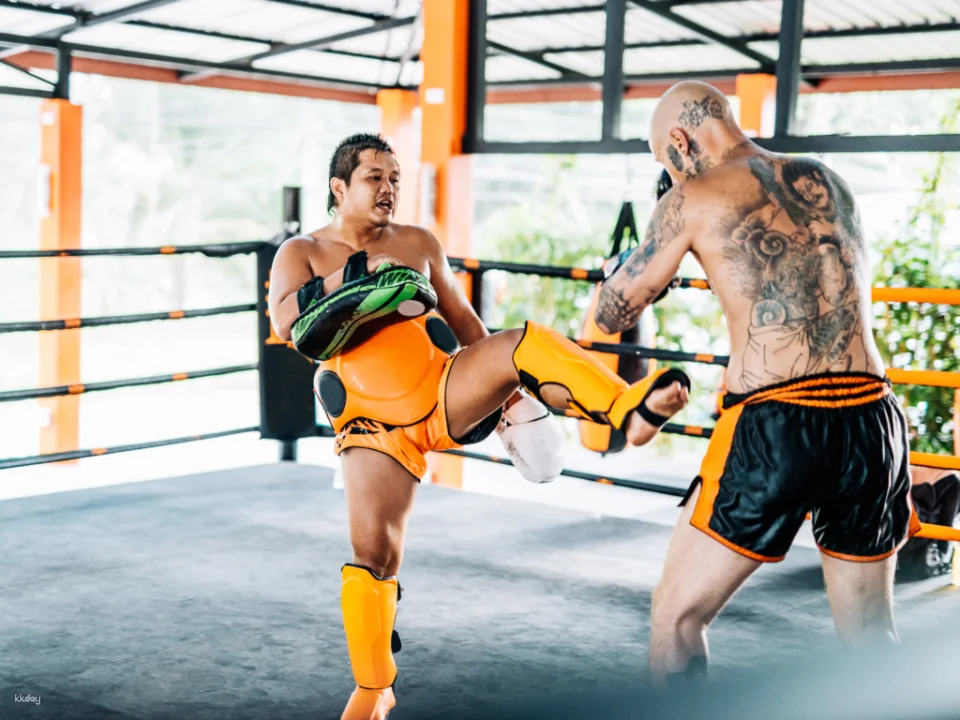 Muay Thai Training by Battle & Conquer Gym | Pattaya