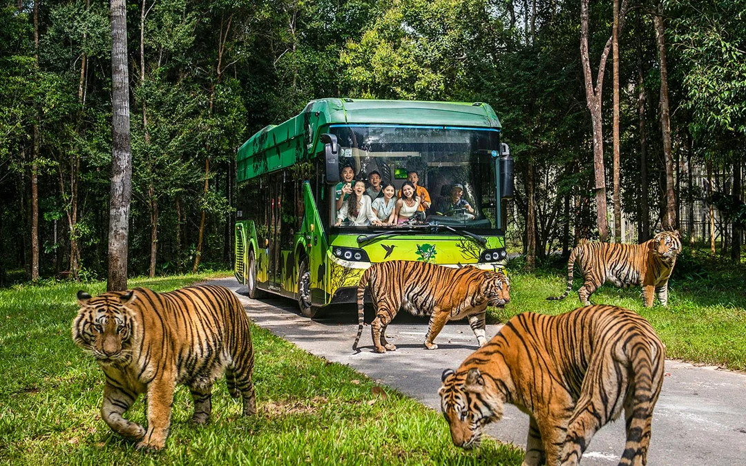 [Multi Day Combo] Vinpearl Safari & VinWonders Tickets Image 3
