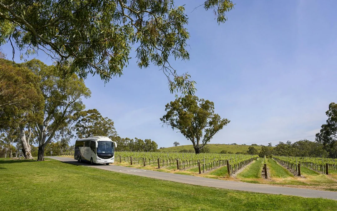 Murray River Highlights Cruise with Guided Tour & Lunch Image 2