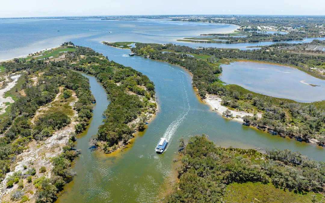 Murray River Lunch Cruise Image 3