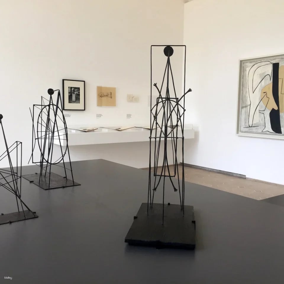 Musée national Picasso-Paris: Priority Entrance