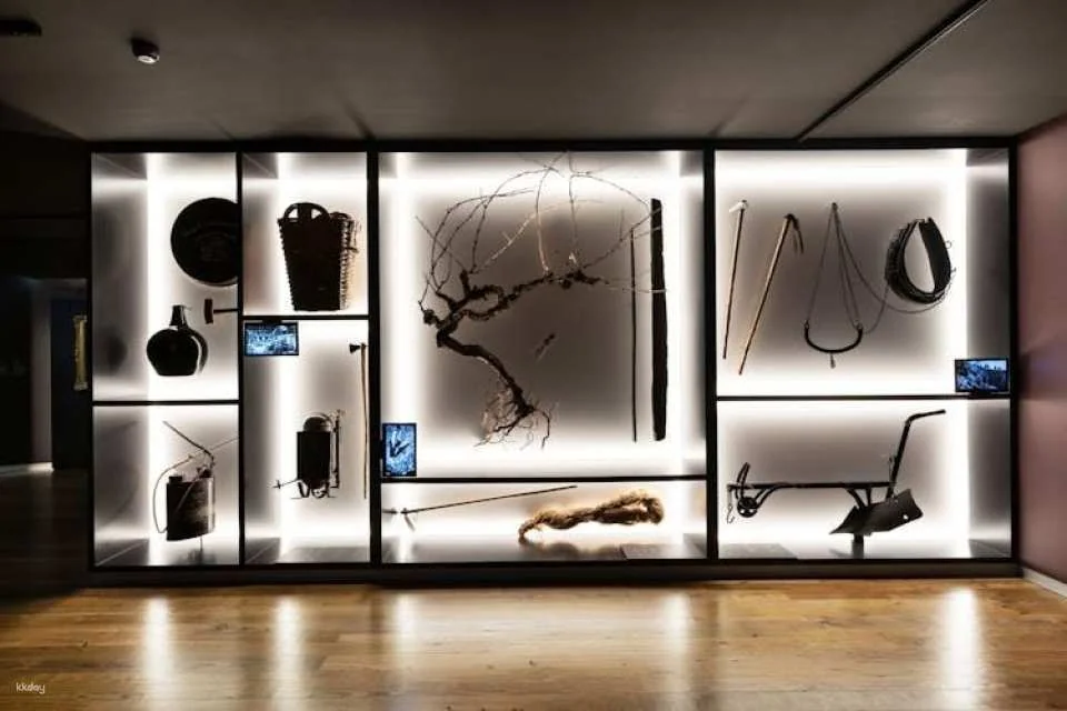 Museu da 1ª Demarcação, Museum of the Oldest Appellation in the World