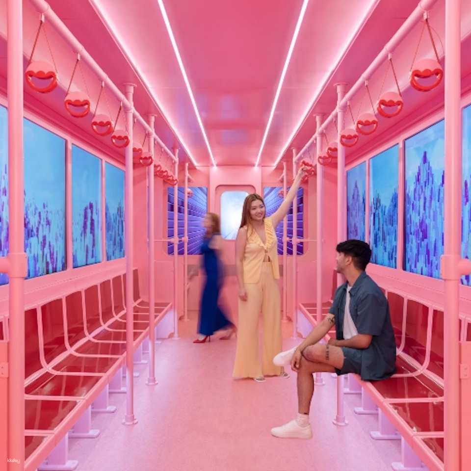 Museum of Ice Cream Admission Ticket | Chicago