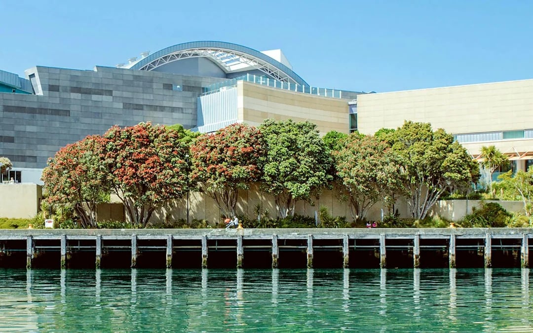 Museum of New Zealand Te Papa Tongarewa Tickets Image 4