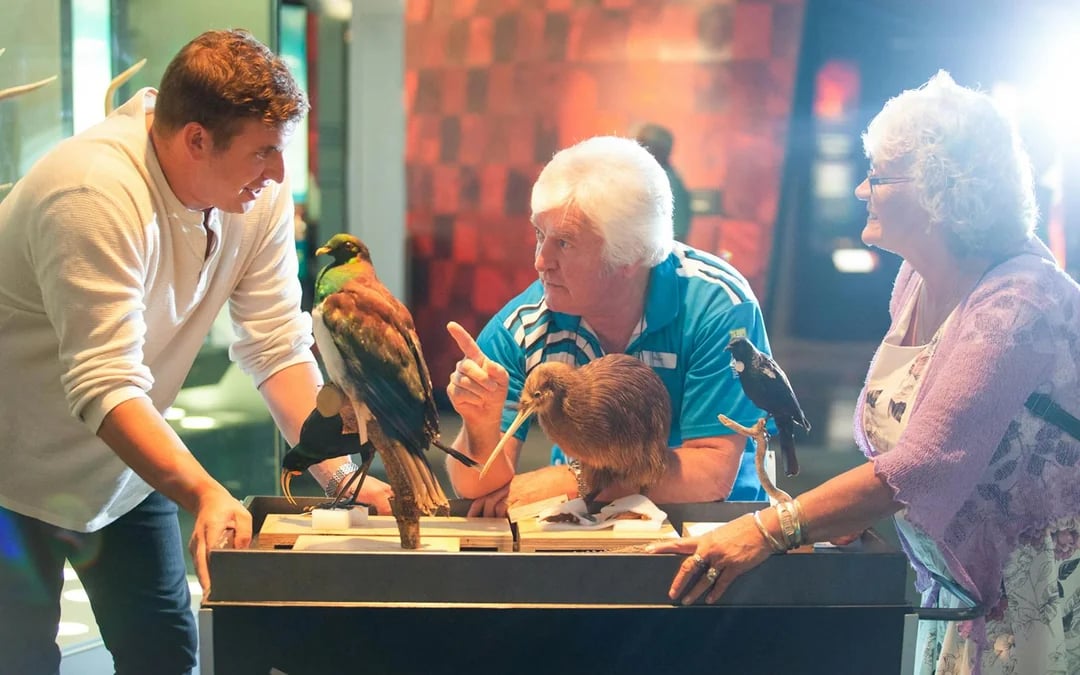 Museum of New Zealand Te Papa Tongarewa Tickets Image 5