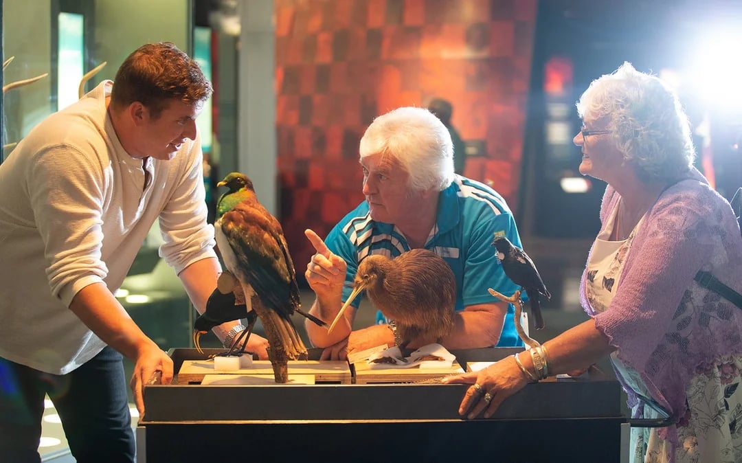 Museum of New Zealand Te Papa Tongarewa Tours Image 8