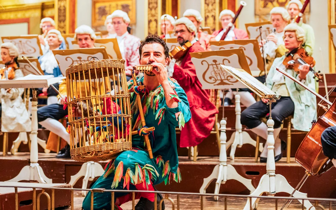 Music Society Vienna (Musikverein): Mozart Orchestra Concert at Brahms Hall Image 4