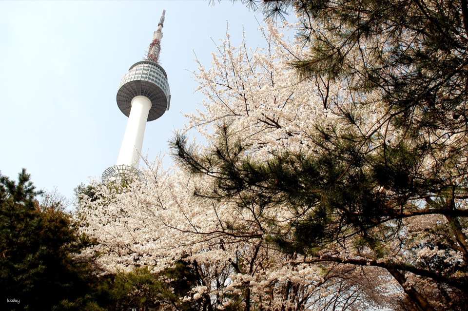 Namsan N Seoul Tower Observation Deck e-Ticket | South Korea