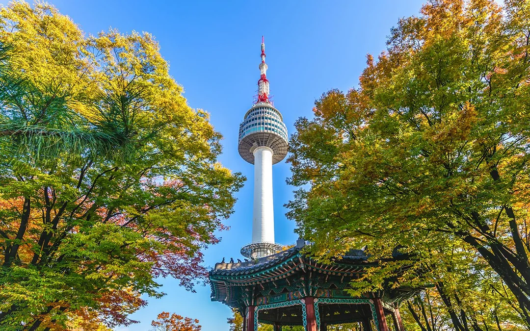 N Seoul Tower Observatory with Namsan Cable Car Round-trip Tickets (Ticket Pick-up before 6 PM: Myeng-dong Rednow) Image 1