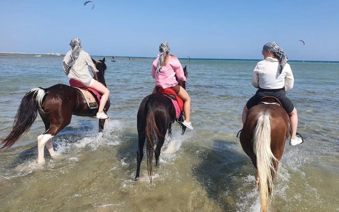 Nabq Bay Horse Riding Experience with Hotel Transfers and Guide Image 1