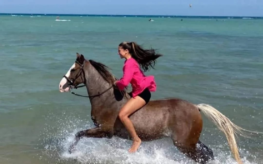 Nabq Bay Horse Riding Experience with Hotel Transfers and Guide Image 3