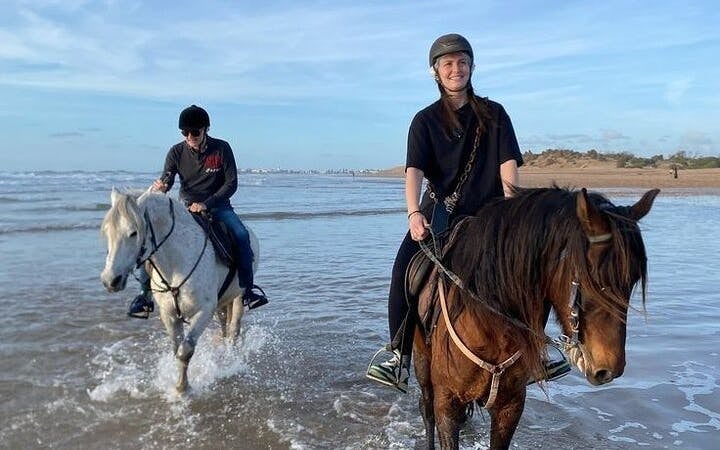 Nabq Bay Horse Riding Experience with Hotel Transfers and Guide Image 4