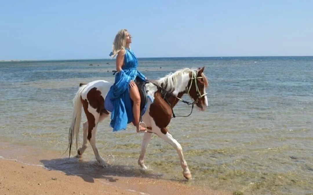 Nabq Bay Horse Riding Experience with Hotel Transfers and Guide Image 5