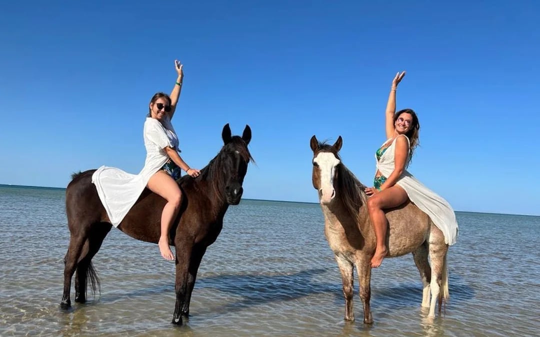 Nabq Bay Horse Riding Experience with Hotel Transfers and Guide Image 7