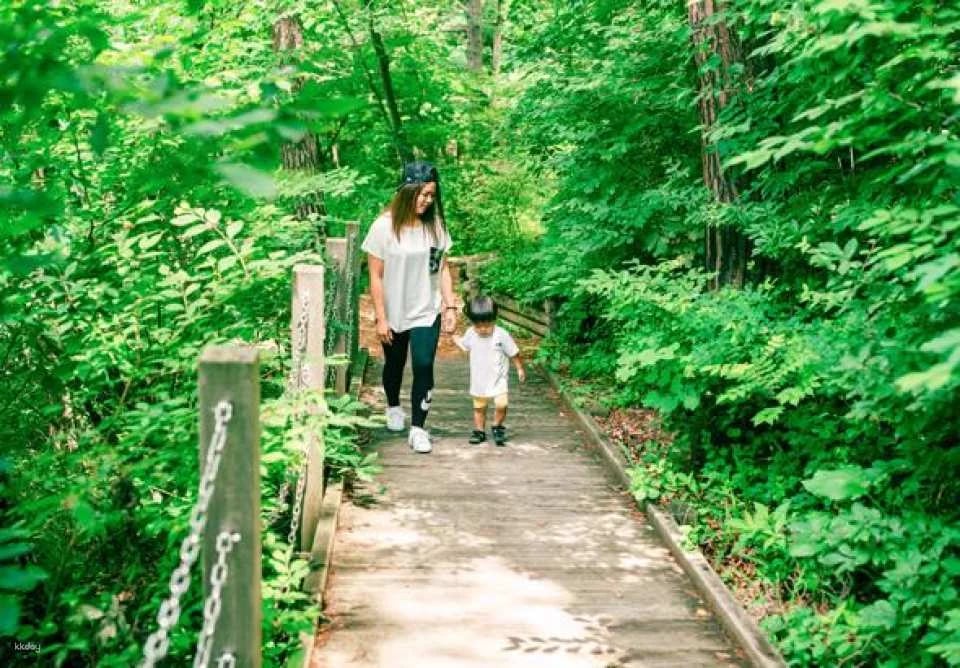 [Discount Sale] Sakudaira Highway Oasis Parada 1-Day Free Pass Reservation (Saku City, Nagano Prefecture)