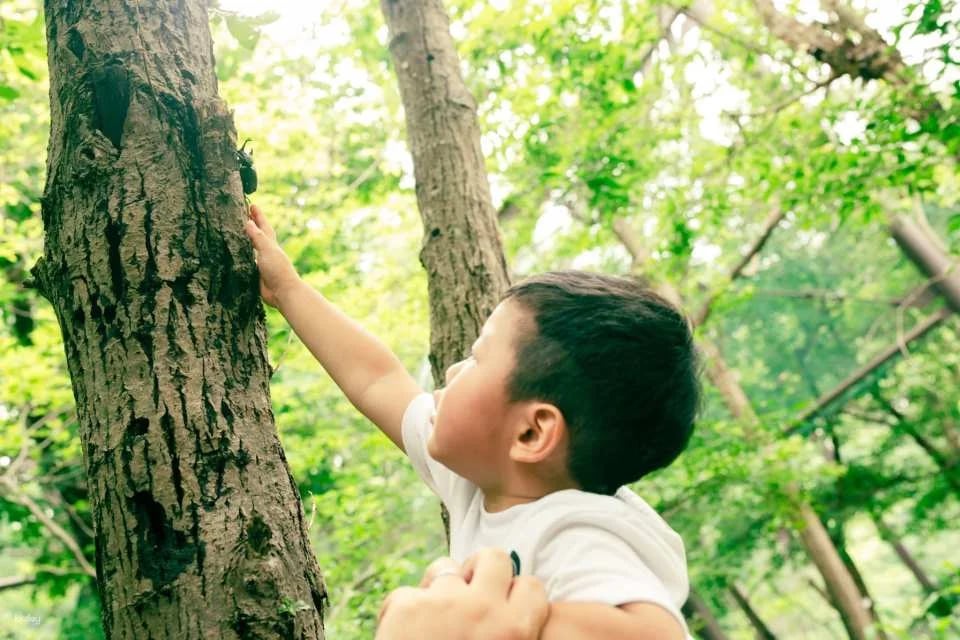 [Discount Sale] Sakudaira Highway Oasis Parada 1-Day Free Pass Reservation (Saku City, Nagano Prefecture)