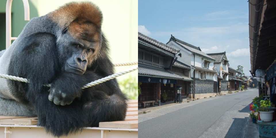 Nagoya | NAGOYA Sightseeing Pass (2-day pass)