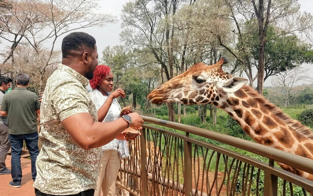 Nairobi: Guided Giraffe Center Experience & Nature Trail Tour Image 3