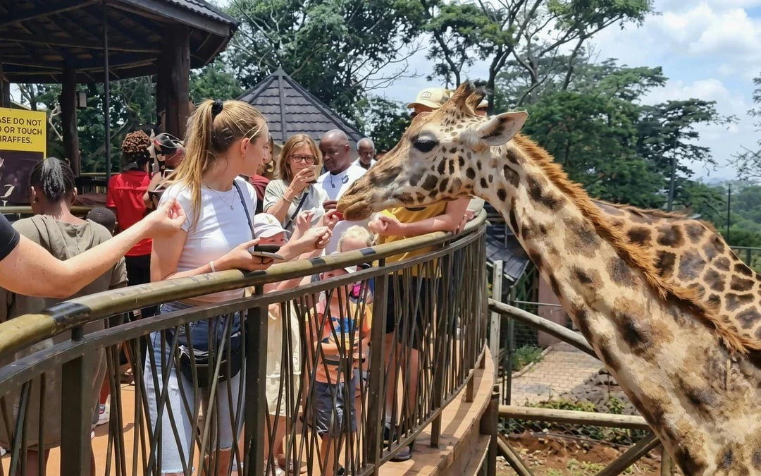 Nairobi: Guided Giraffe Center Experience & Nature Trail Tour Image 5