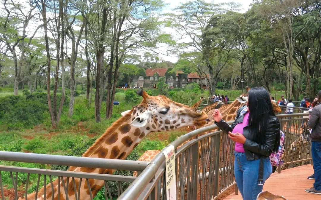 Nairobi: Guided Giraffe Centre & Kazuri Beads Factory Visit Excursion Image 1