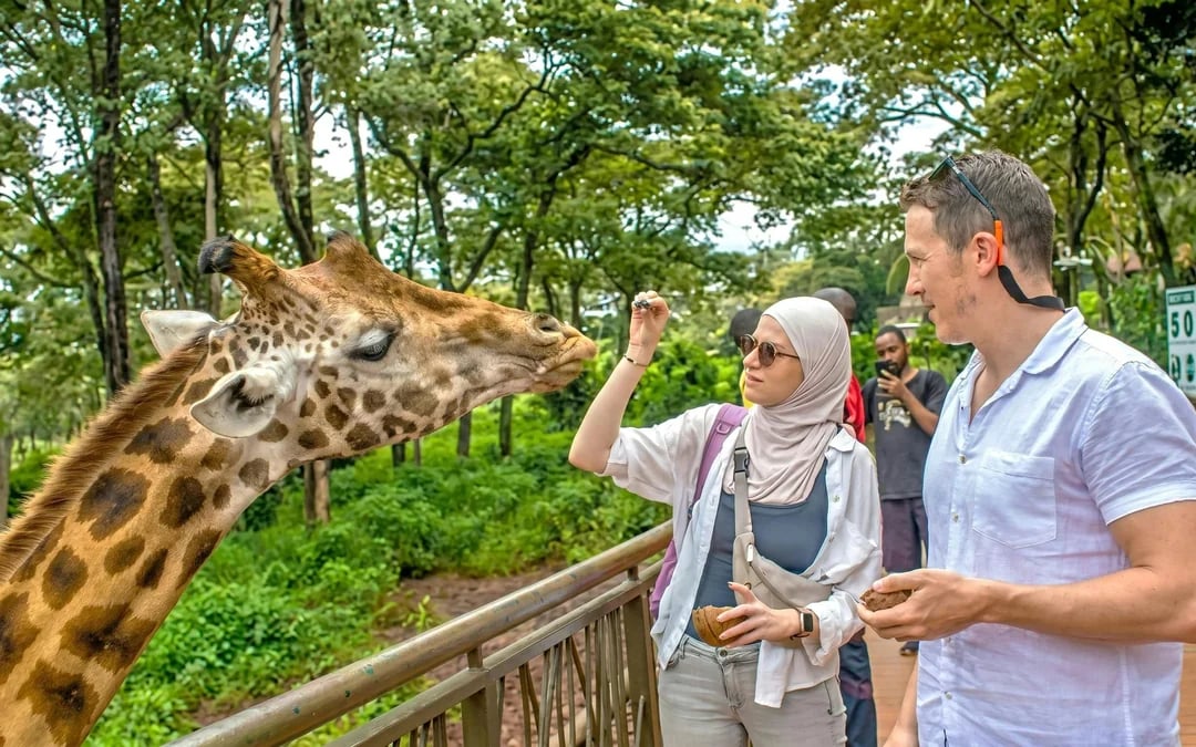 Nairobi: Guided Giraffe Centre & Kazuri Beads Factory Visit Excursion Image 3